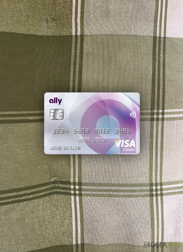 USA Ally Bank Visa carte classique photolook recto